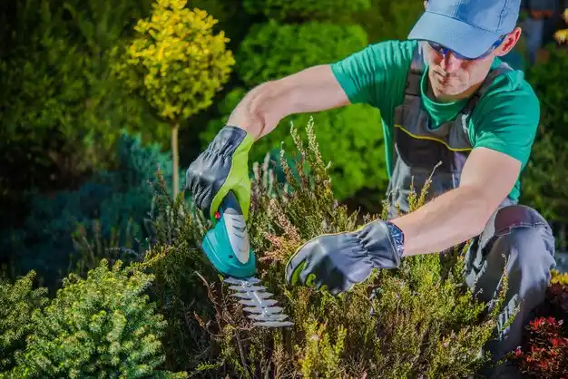 landscaping services Chappell